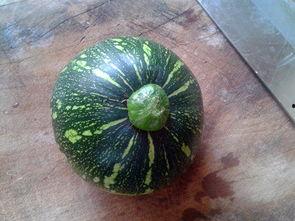 娱乐吃瓜湖南,吃瓜群众的热门话题盘点