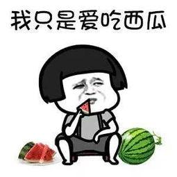 关于娱乐圈吃瓜的幽默段子