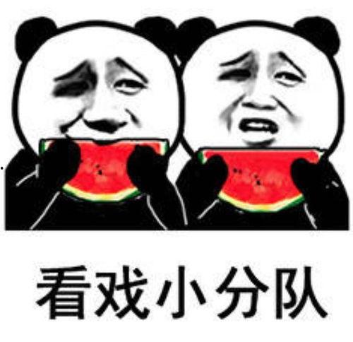 吃瓜娱乐图片表情包,吃瓜表情包带你领略欢乐时光