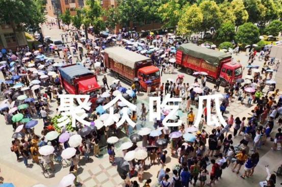 吃瓜娱乐学校,揭秘娱乐圈背后的秘密与趣味