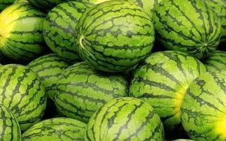 每日大赛吃瓜入口,吃瓜群众狂欢入口揭秘  第2张