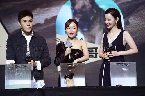 娱乐吃瓜酱不可思议,揭秘不可思议的娱乐圈幕后故事  第3张