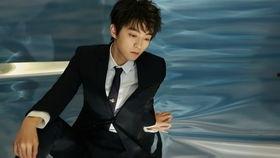 娱乐圈吃瓜王俊凯是谁呀  第3张