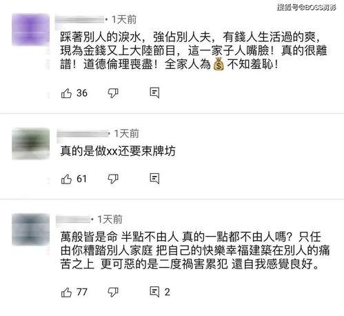 娱乐吃瓜酱如何投稿,轻松上手，成为热门话题制造者！  第3张